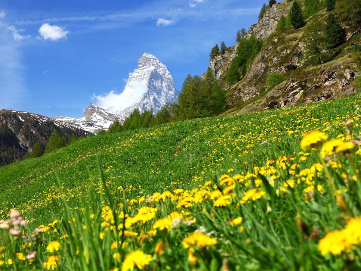 Apartment By Interhome Zermatt Esterno foto